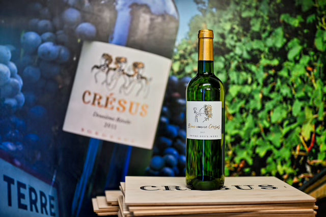 Blanc Comme Crésus 2023 , carton de 6 bouteilles 75cl